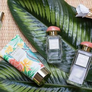 hibiscus palm estee lauder