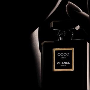 besteden Voorrecht melodie Coco Noir Chanel perfume - a fragrance for women 2012