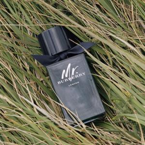 slim Godkendelse Kamp Mr. Burberry Indigo Burberry cologne - a fragrance for men 2018