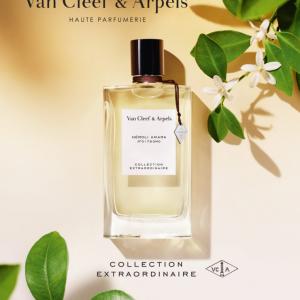 perfume cleef arpels amara van nroli pyramid