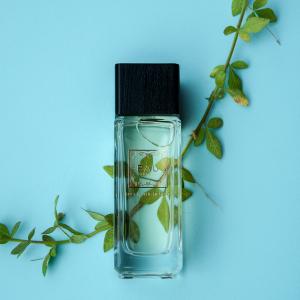 Lost In The Desert BAU perfume - a fragrance for women and men 2018