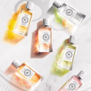 Figuier & Rose L'Occitane en Provence