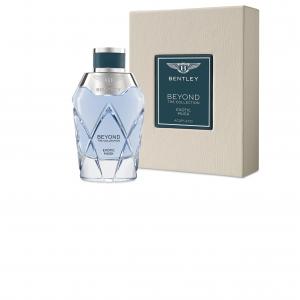 Bentley momentum intense cheap fragrantica