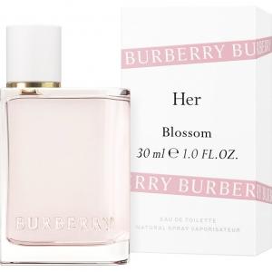 Accusation leather embroidery Burberry Her Blossom Burberry perfume - a fragrance for women 2019