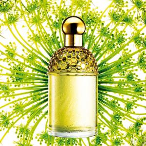 Aqua Allegoria Angelique Lilas Guerlain perfume - a fragrance for