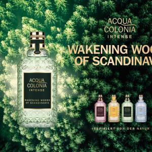 Acqua colonia 2024 wakening woods