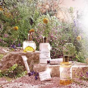 Terre de Lumiere Sparkling Edition In Oil L'