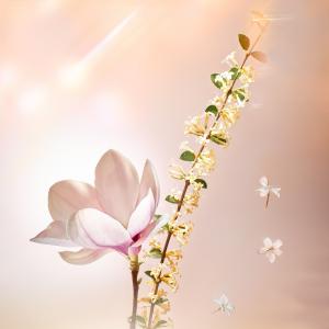 Étoile Filante Louis Vuitton perfume - a new fragrance for women 2021