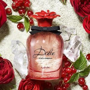 dolce and gabbana rose
