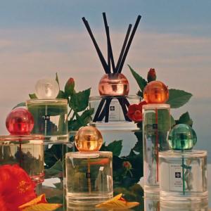 Red Hibiscus Cologne Intense Jo Malone London perfume - a Red Hibiscus Cologne Intense Jo Malone London perfume - a