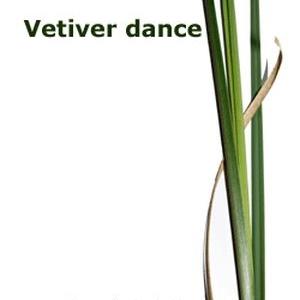 Vetiver dance best sale tauer perfumes