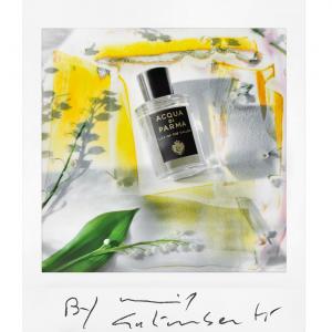 Lily of the Valley Acqua di Parma perfume - a fragrance for women