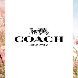 Coach Wild Rose Coach perfume - a new fragrance for women 2022