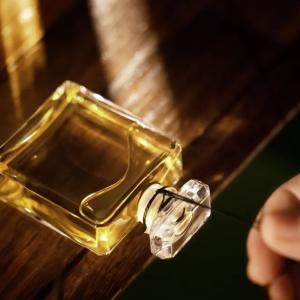 Sycomore Parfum Chanel perfume - a new fragrance for women and men