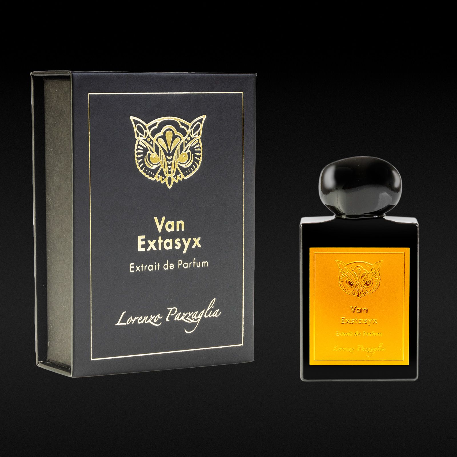 Van Exstasyx Lorenzo Pazzaglia perfume - a new fragrance for women and ...