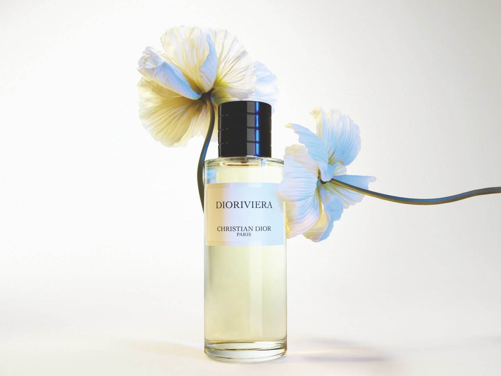 Dioriviera Dior perfume - a new fragrance for women and men 2023