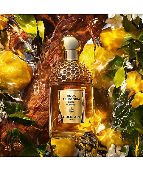 Aqua Allegoria Forte Oud Yuzu Guerlain perfume - a new fragrance for ...