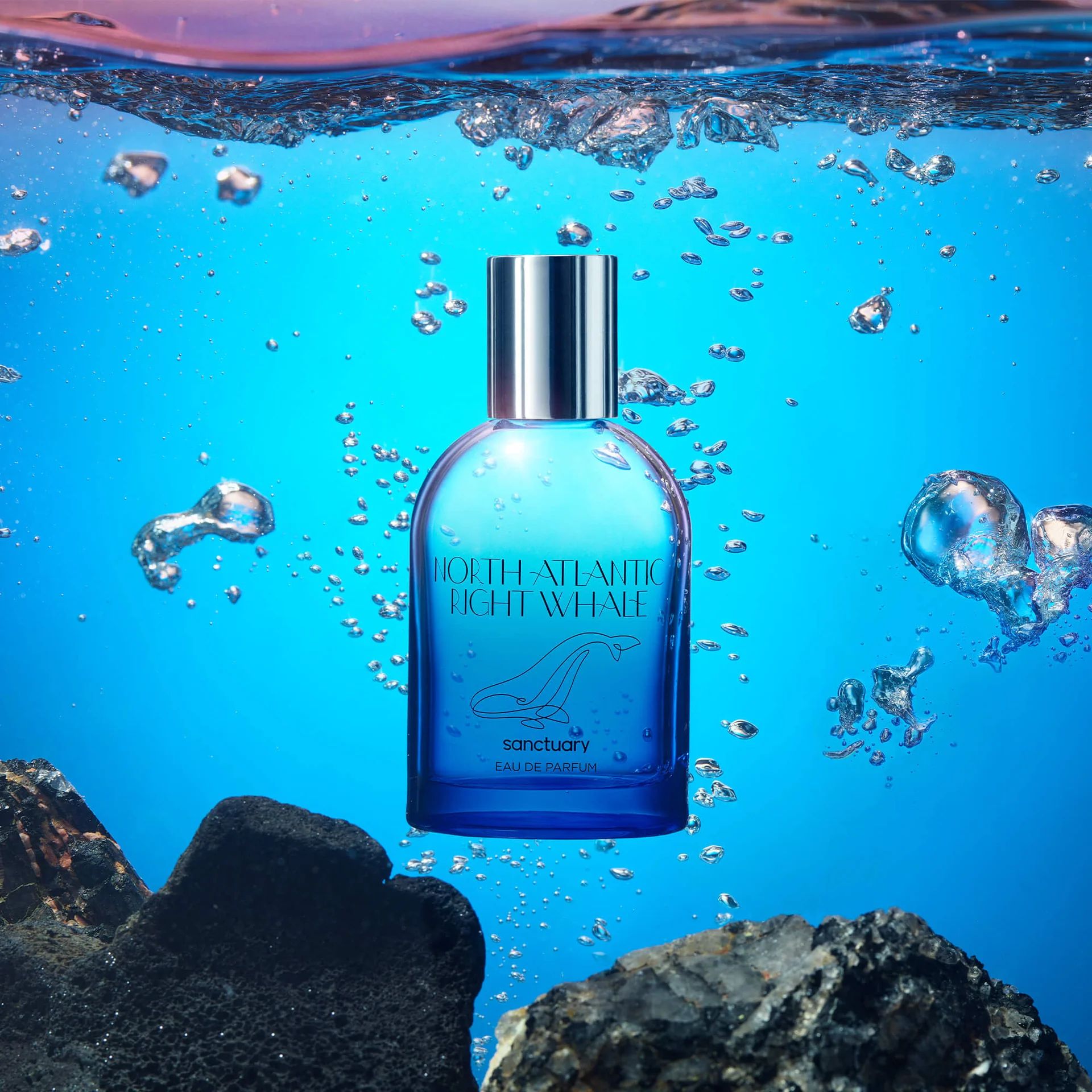 North Atlantic Right Whale Sanctuary perfume a fragrance for women
