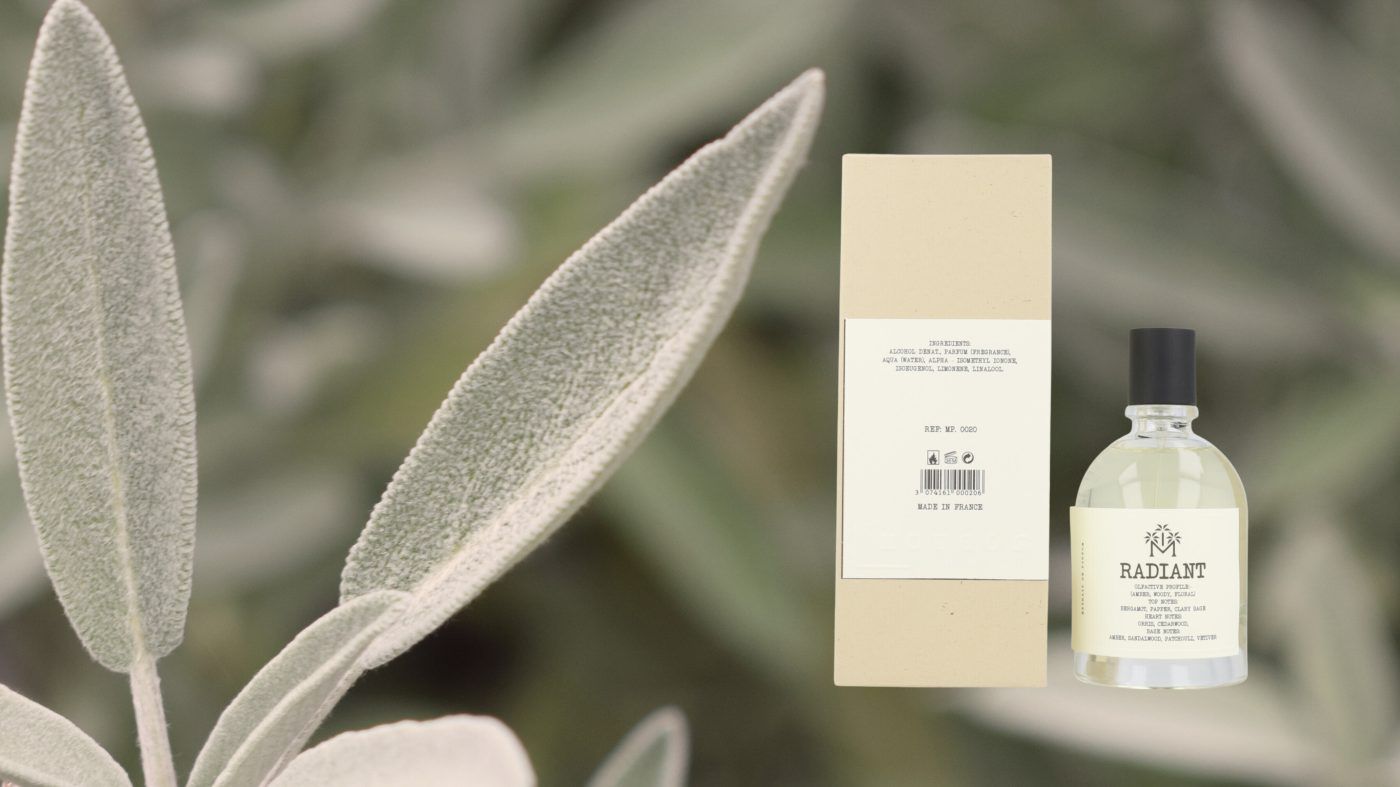 Radiant Moudon perfume - a new fragrance for women and men 2022