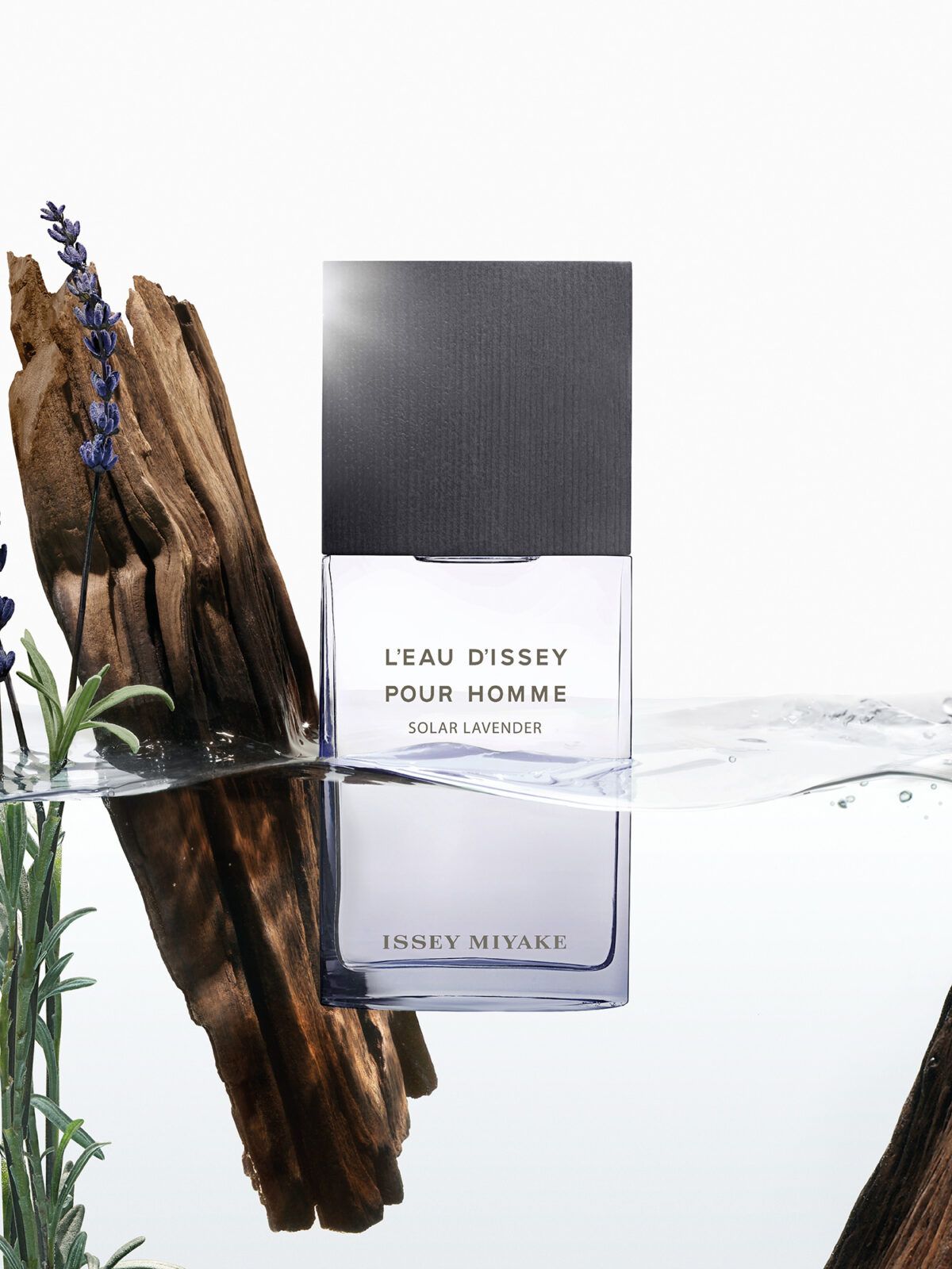 L'Eau d'Issey pour Homme Solar Lavender Issey Miyake Colônia - a novo ...