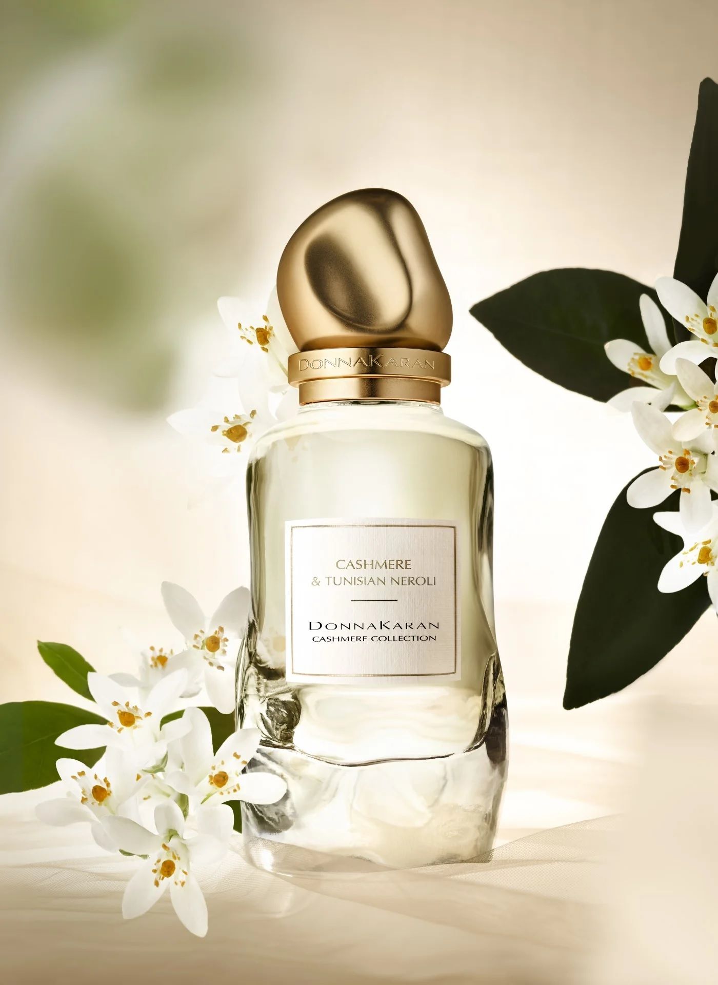 Cashmere & Tunisian Neroli Donna Karan perfume - a new fragrance for ...