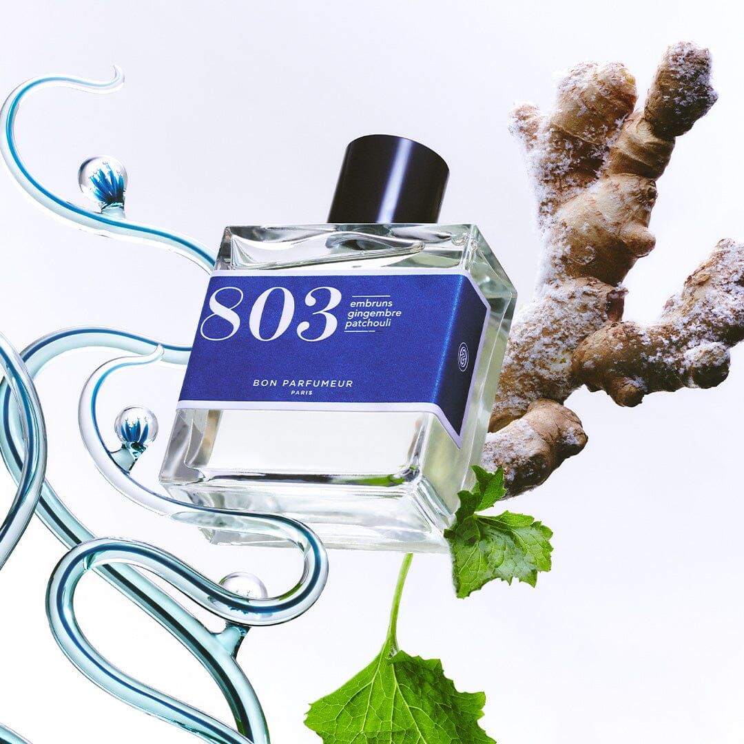 803 sea spray, ginger, patchouli Bon Parfumeur perfume - a new ...