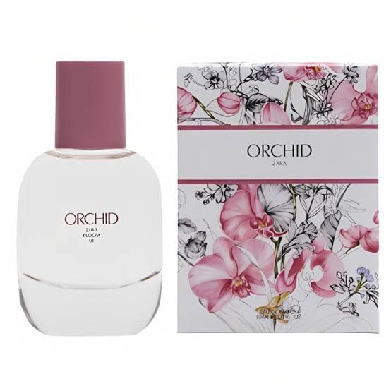 Orchid Bloom 01 Zara perfume - a fragrance for women 2021