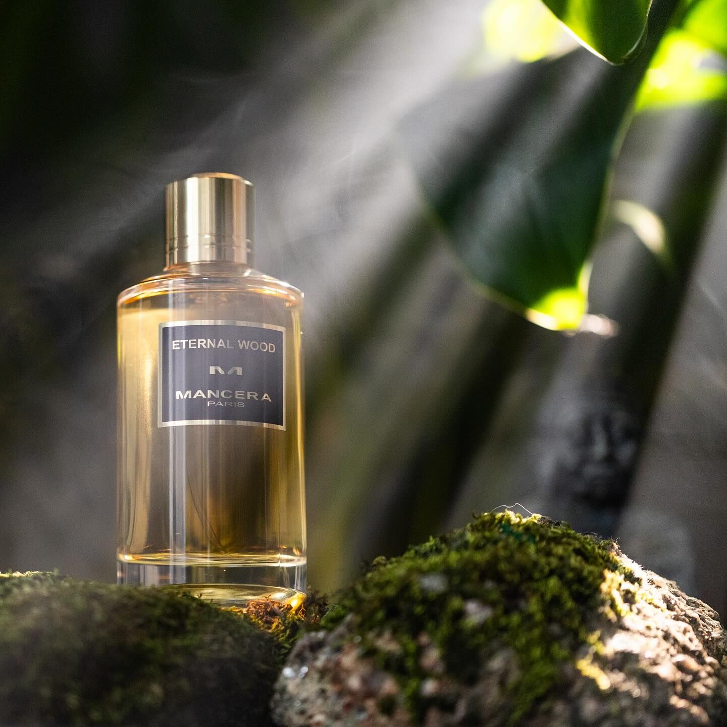 Eternal Wood Mancera perfume - a new fragrance for women and men 2024