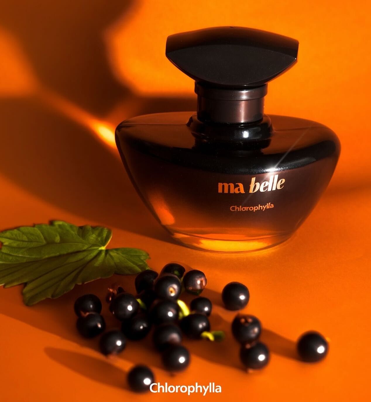 Ma Belle Chlorophylla perfume - a new fragrance for women 2024