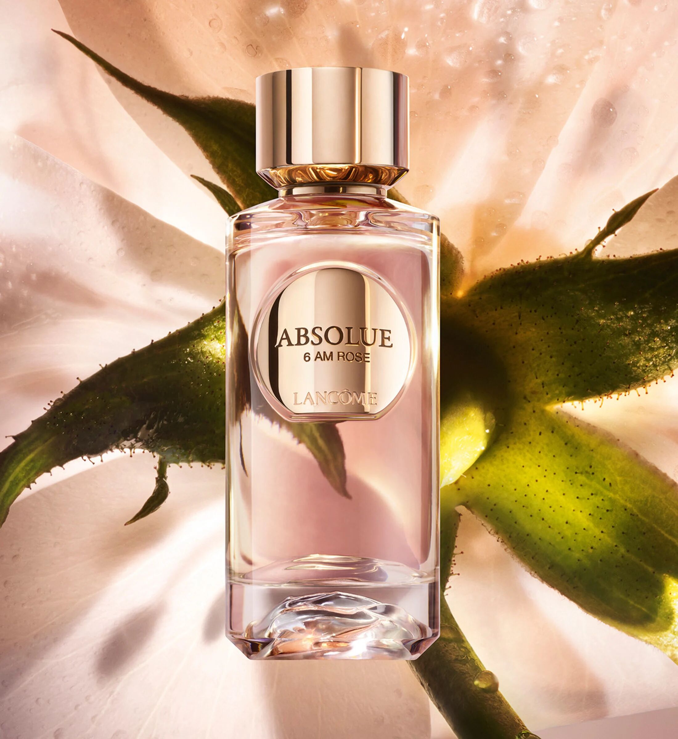 Absolue 6AM Rose Lancôme perfume - a new fragrance for women 2024