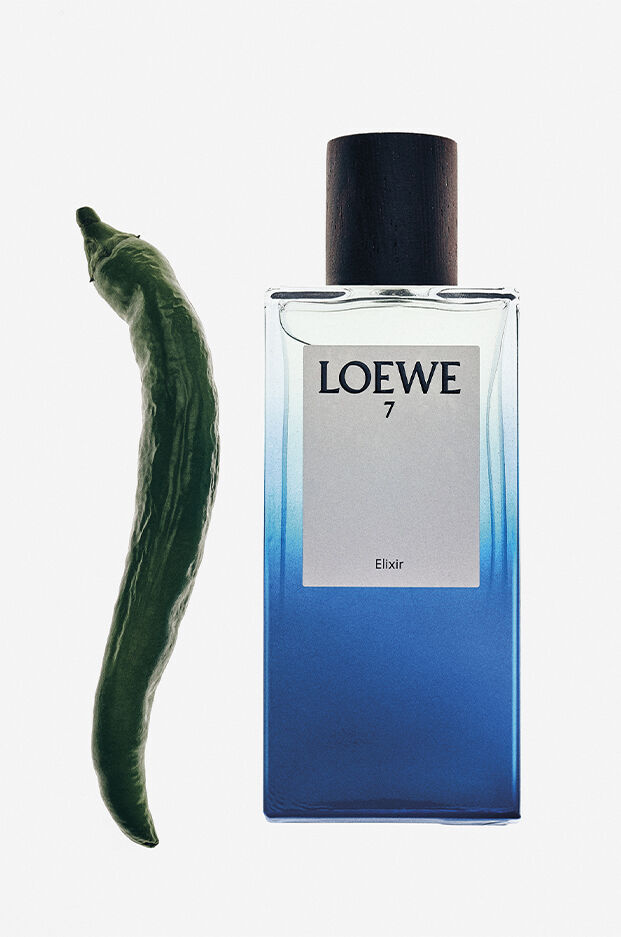 Loewe 7 Elixir Loewe cologne - a new fragrance for men 2024