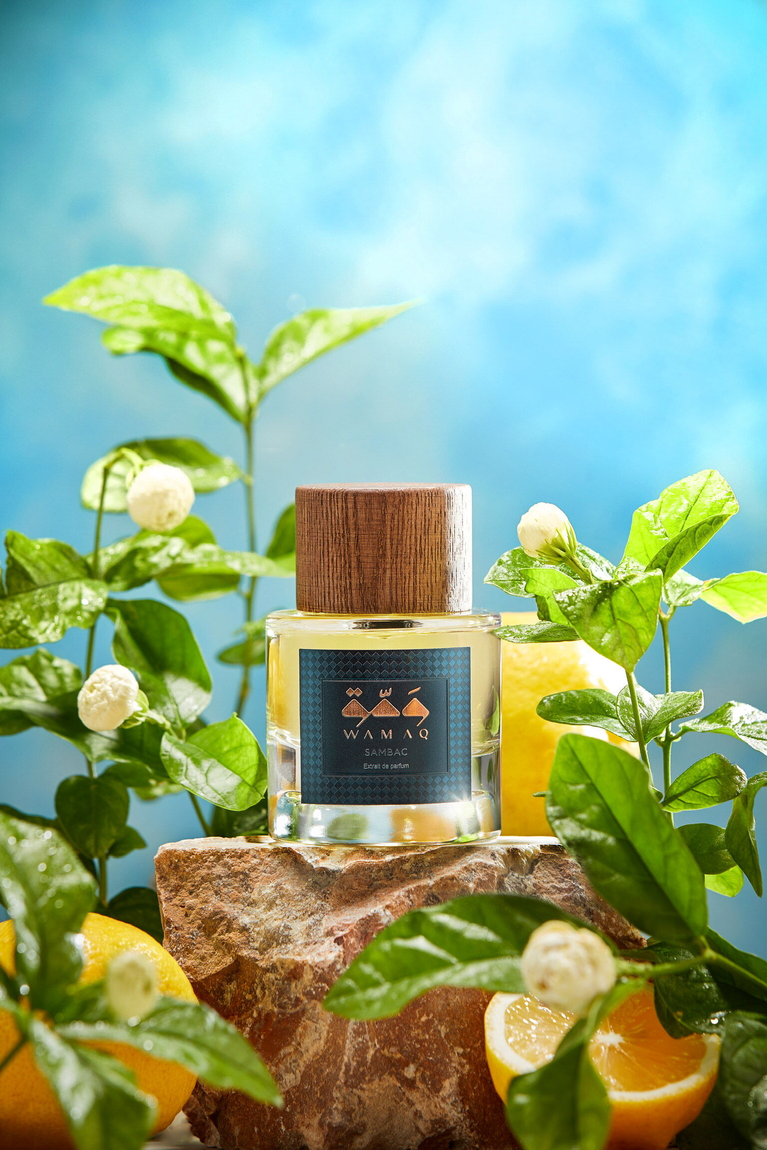 sambac wamaq