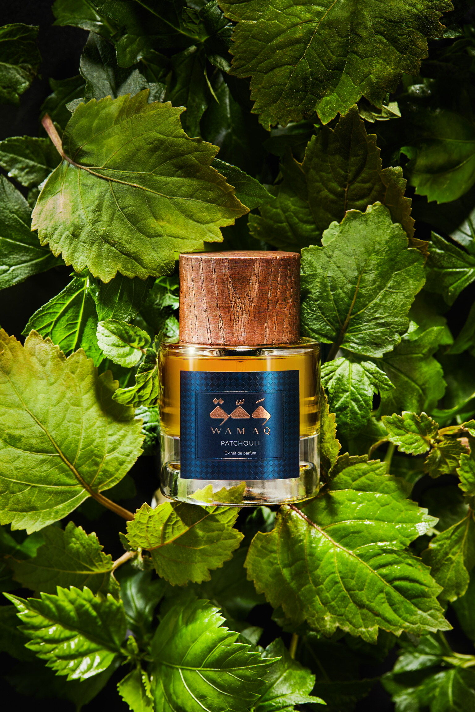 patchouli wamaq