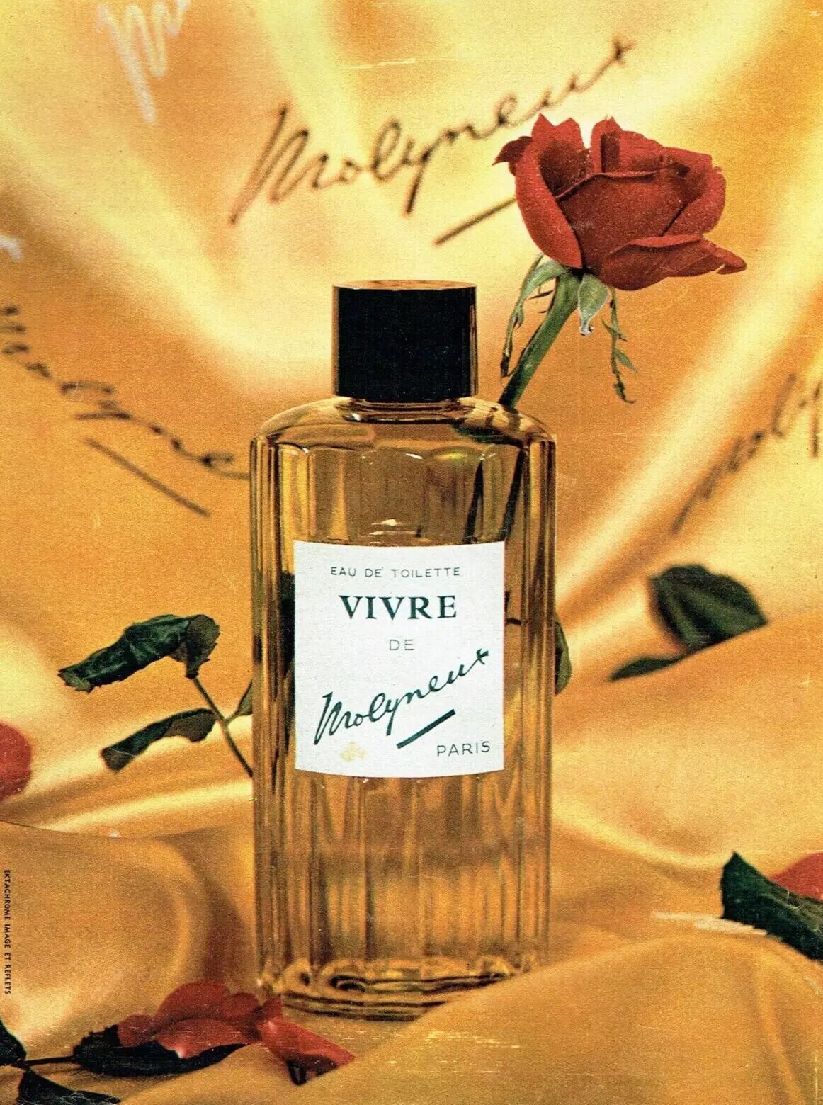 希少 新品 モリニュー MOLYNEUX ヴィーヴ VIVRE 120ml 【公式通販】