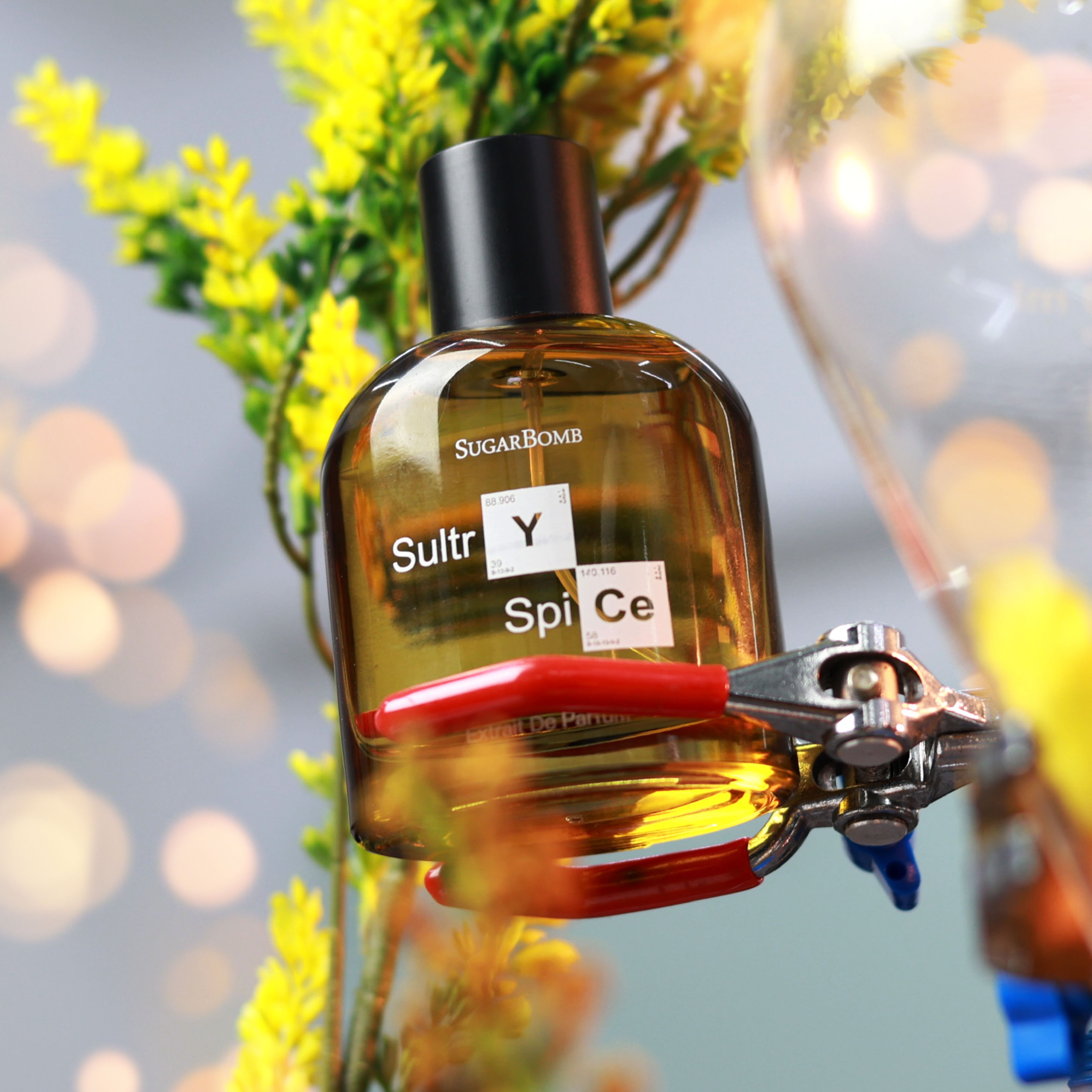 Alchemist Sultry Spice SugarBomb perfume a new fragrance for women and men 2024