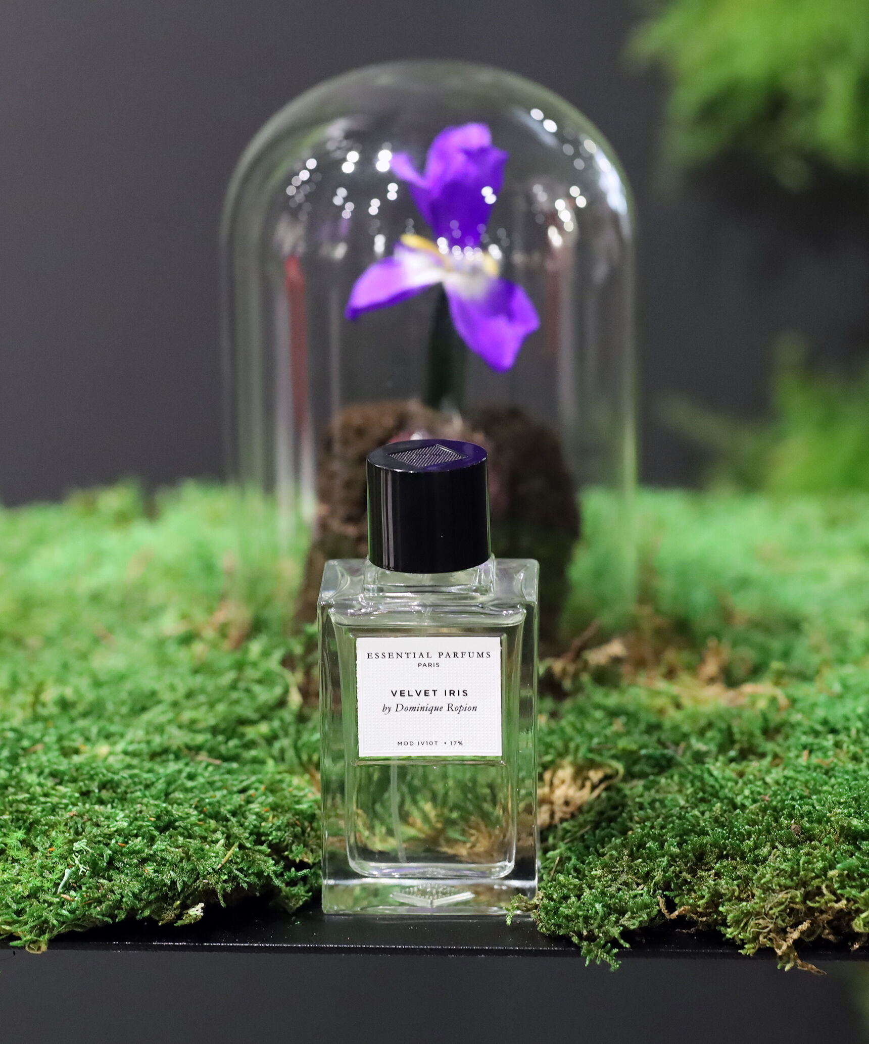 Velvet Iris Essential Parfums parfum un nouveau parfum pour homme et