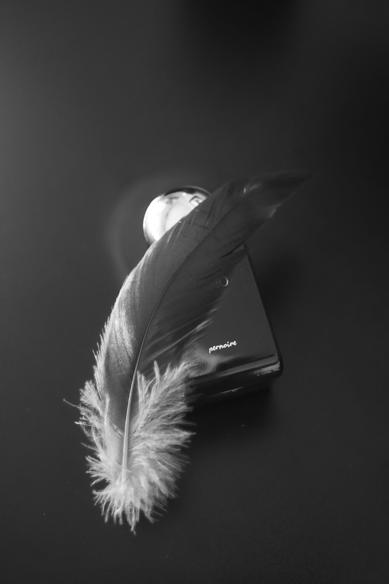 Otimo Pernoire Parfum - ein neues Parfum für Frauen und Männer 2024