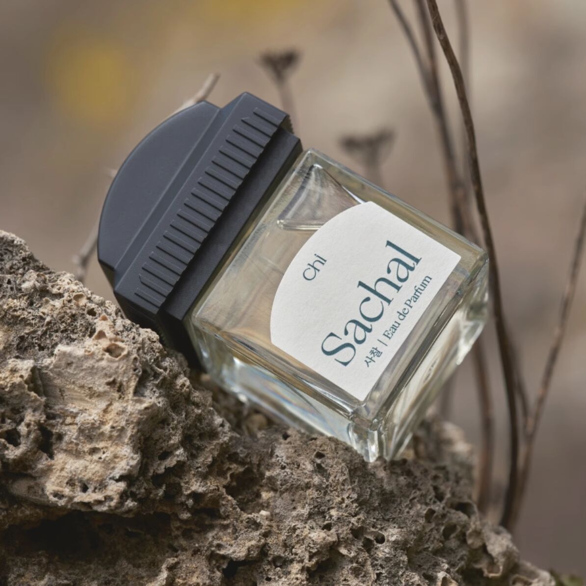 香水(女性用) Chi Sachal Eau de Parfum 50ml Sachal 사찰 Chwi 취 perfume - a new fragrance for women and