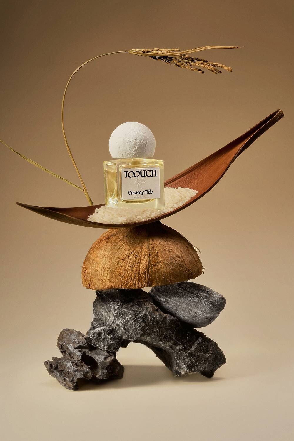 Creamy Tide Toouch perfume - a new fragrance for women and men 2025