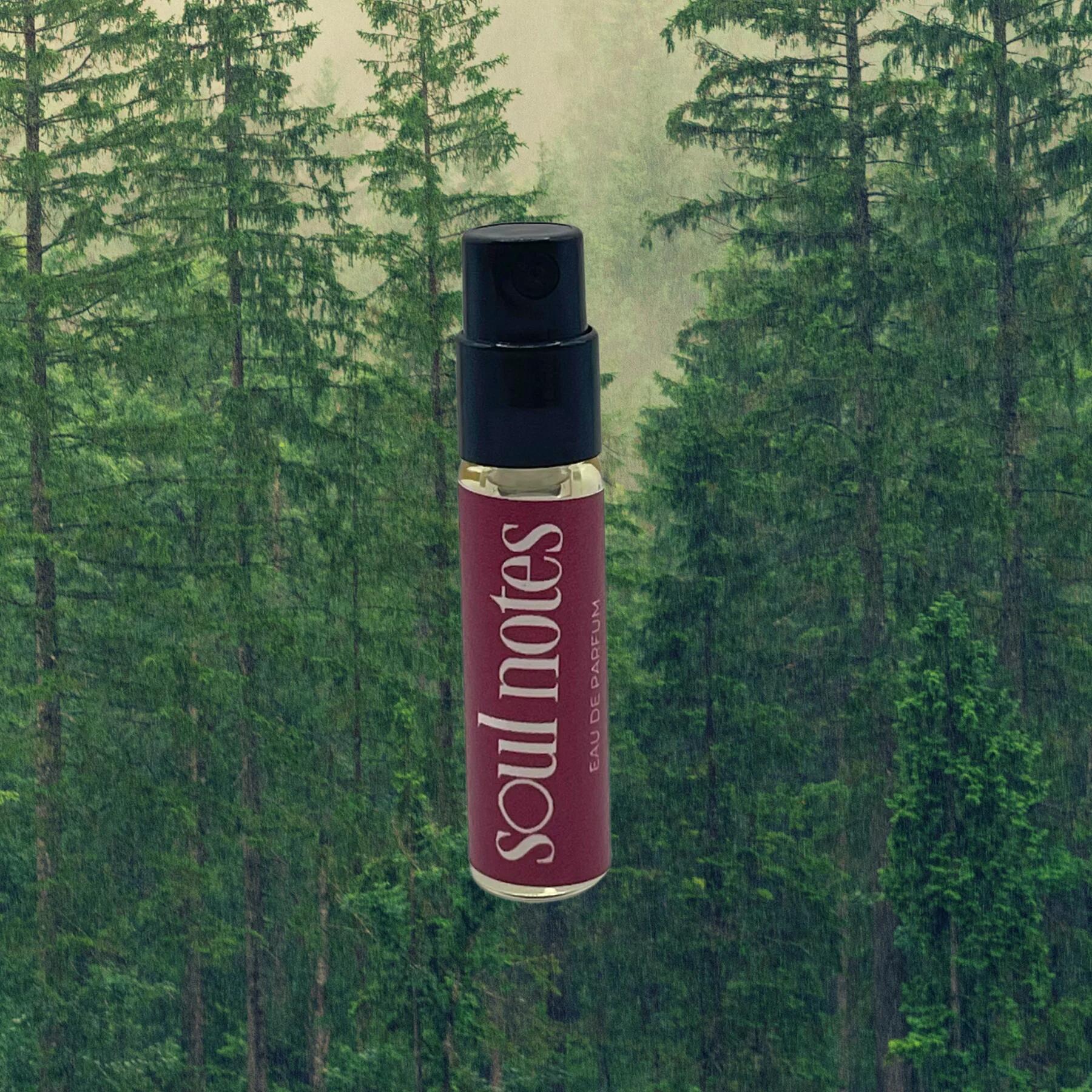 Soul Notes Soul Notes Soul Notes perfume - a new fragrance for women and men 2025