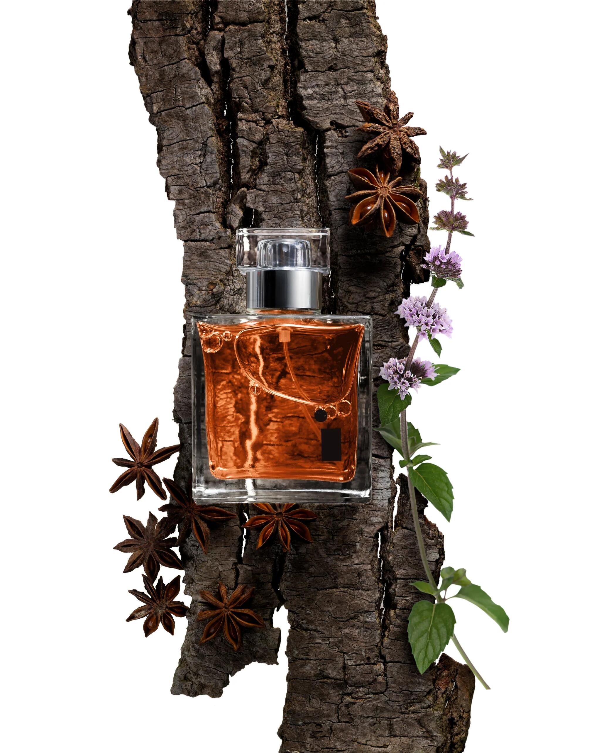 Black Oud 2026 Illuminum perfume - a new fragrance for women and men 2026