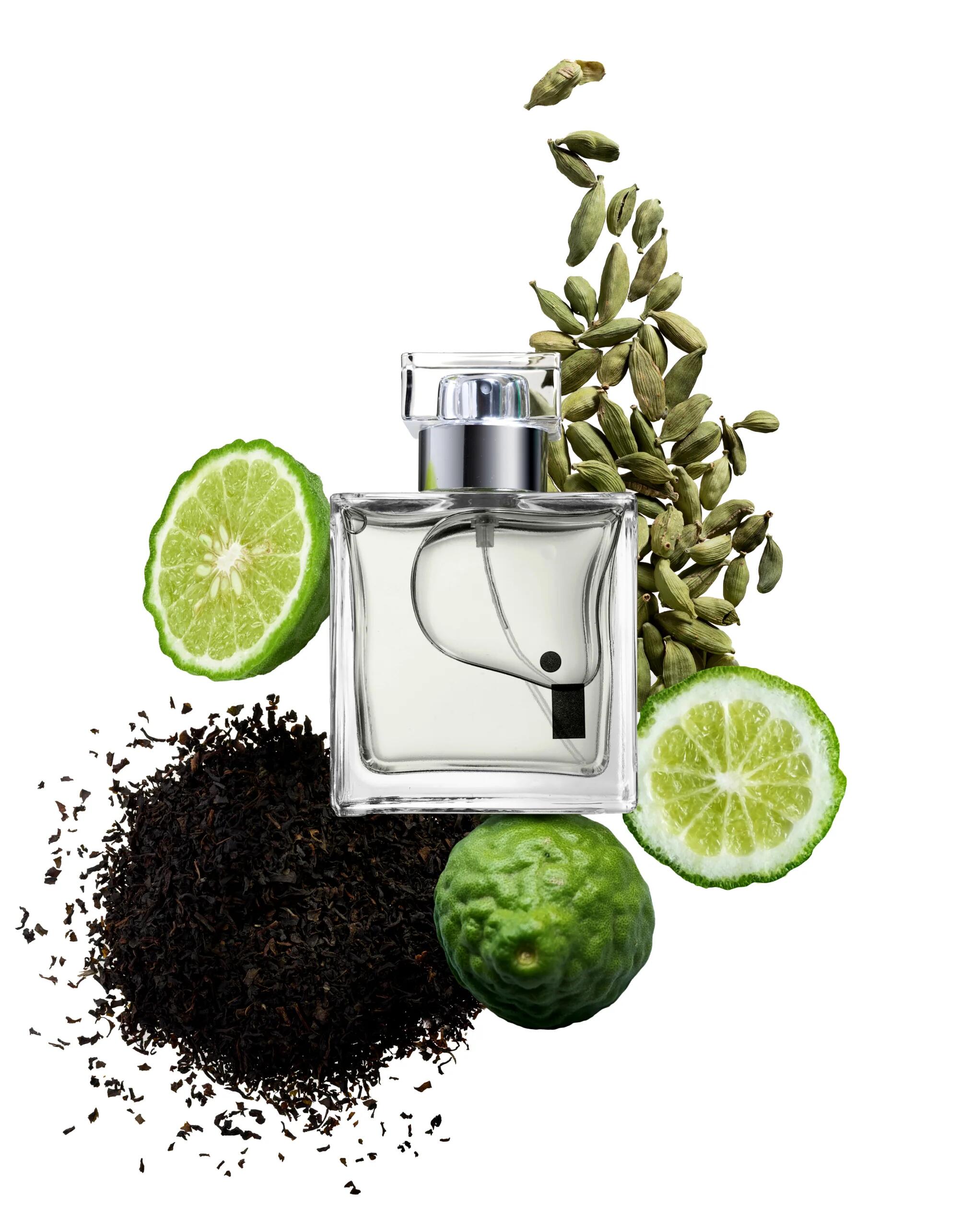 Tribal Black Tea 2026 Illuminum perfume - a new fragrance for