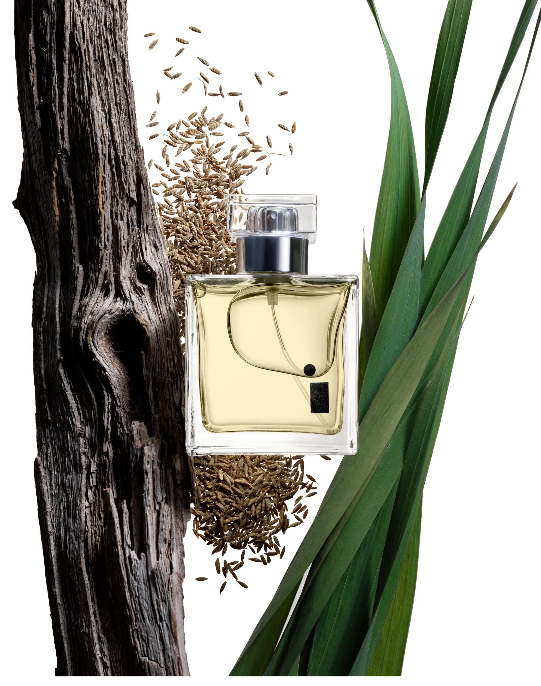 White Oud 2026 Illuminum perfume - a new fragrance for women and men 2026