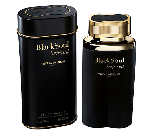 parfum black soul ted lapidus