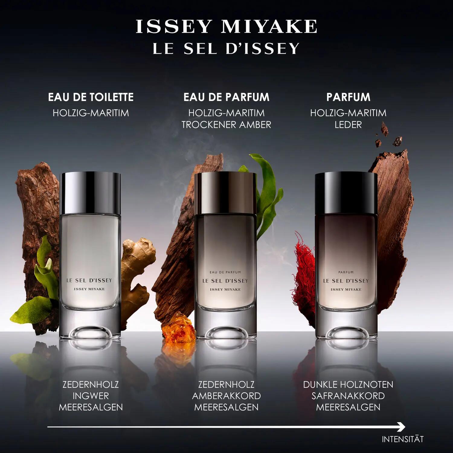 Le Sel d'Issey Parfum Issey Miyake コロン - 2026年の男性用 新着
