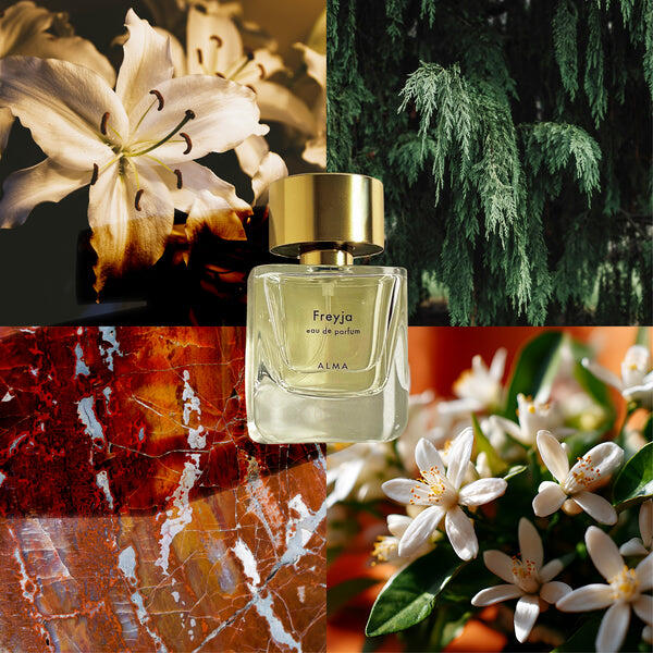 マリアオラクルFreyja オードパルファム 50ml ALMA Freyja ALMA perfume - a new fragrance for women 2025