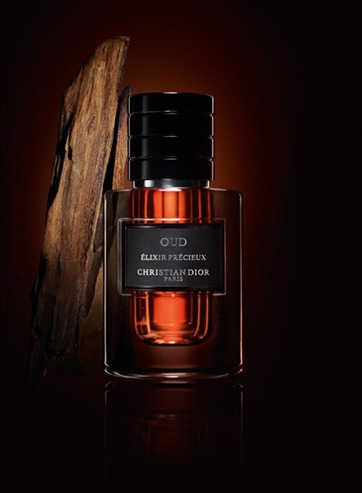 christian dior oud mens