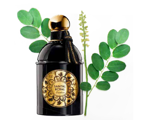 Les Absolus Dorient Santal Royal Guerlain Parfum Un Parfum Pour