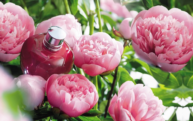 pivoine flora eau de toilette