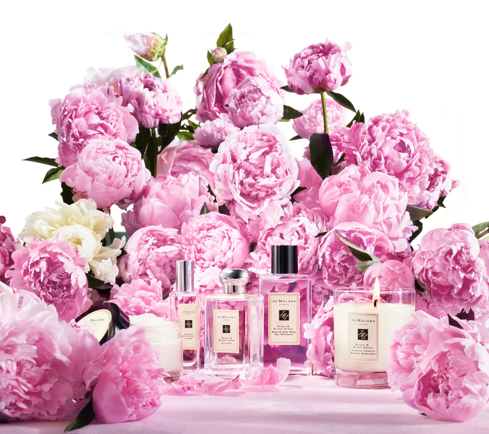 Peony & Blush Suede Jo Malone London perfume - a fragrance for women 2013